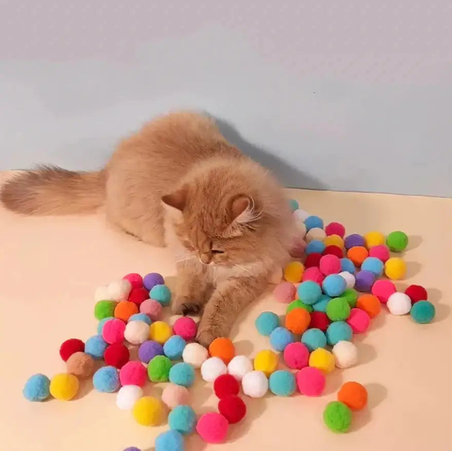 Interactive Pet Launch Toy